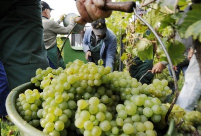 Plaća života vječnoga – razmišljanje uz 25. nedjelju kroz godinu (A)