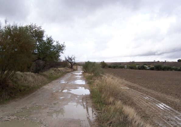 Kolotečina