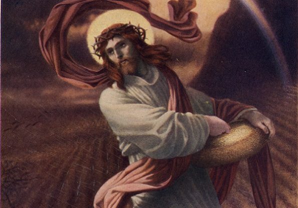 Sije li Sijač još uvijek? – razmišljanje uz 15. nedjelju kroz godinu (A)