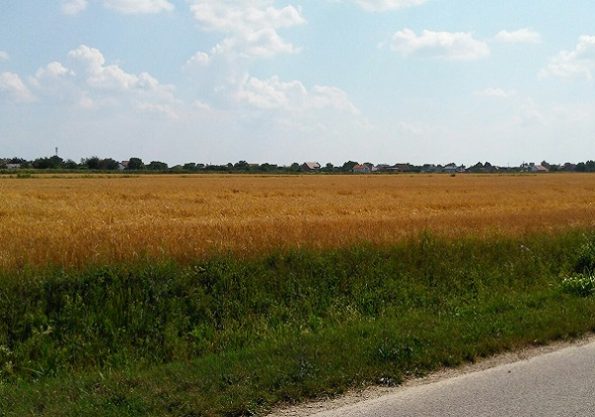 Zemljoradnja: prokletstvo ili blagoslov?