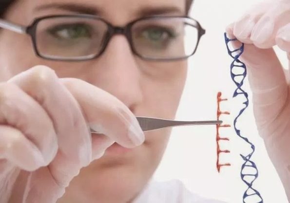 Genetički inženjering i transplantacija u svjetlu učenja Katoličke Crkve