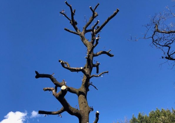 Potkresavanje