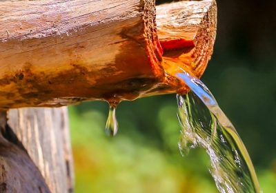 Četvrtak drugog tjedna došašća – homilija