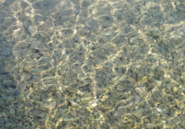 O zatajivanju novozavjetnih redaka