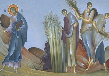 16. nedjelja kroz godinu (A) – prijedlog za liturgijsko pjevanje